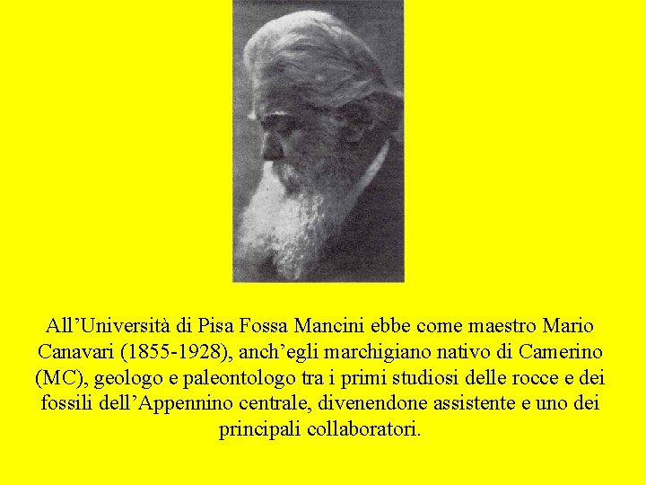 All’Università di Pisa Fossa Mancini ebbe come maestro Mario Canavari (1855 -1928), anch’egli marchigiano