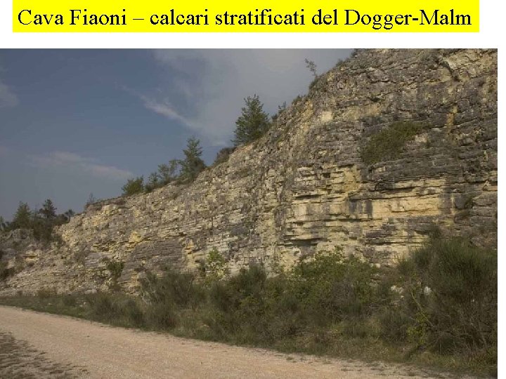 Cava Fiaoni – calcari stratificati del Dogger-Malm 