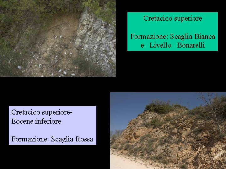 Cretacico superiore Formazione: Scaglia Bianca e Livello Bonarelli Cretacico superiore. Eocene inferiore Formazione: Scaglia