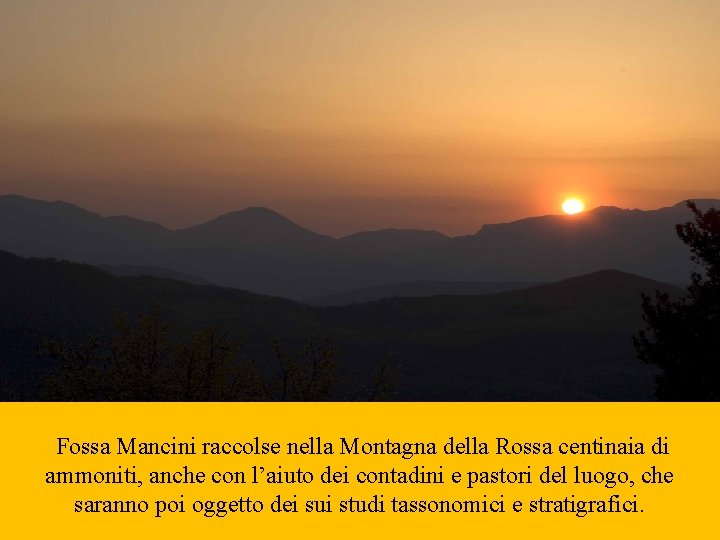 Fossa Mancini raccolse nella Montagna della Rossa centinaia di ammoniti, anche con l’aiuto dei