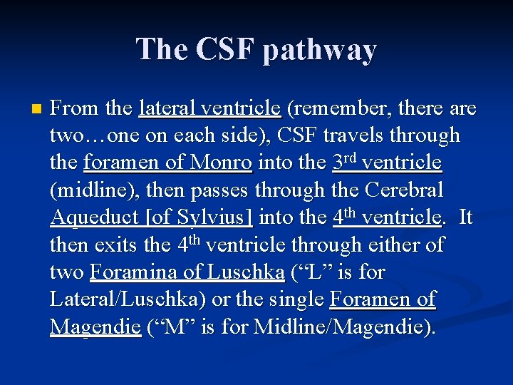 The CSF pathway n From the lateral ventricle (remember, there are two…one on each