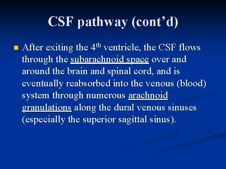 CSF pathway (cont’d) n After exiting the 4 th ventricle, the CSF flows through