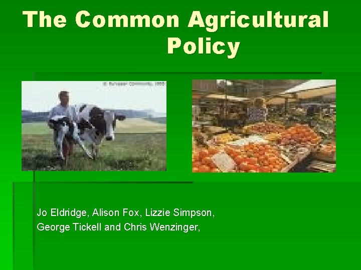 The Common Agricultural Policy Jo Eldridge, Alison Fox, Lizzie Simpson, George Tickell and Chris