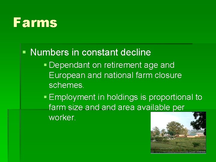 Farms § Numbers in constant decline § Dependant on retirement age and European and