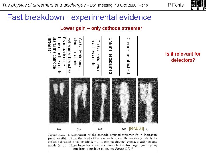 The physics of streamers and discharges RD 51 meeting, 13 Oct 2008, Paris P.