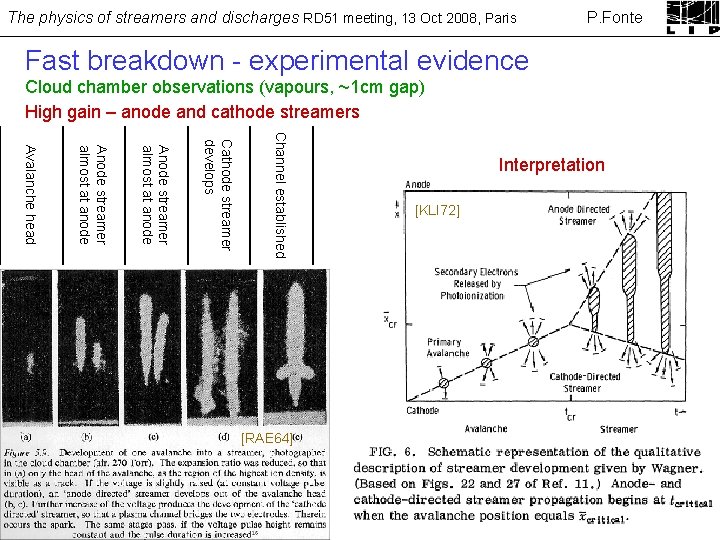The physics of streamers and discharges RD 51 meeting, 13 Oct 2008, Paris P.