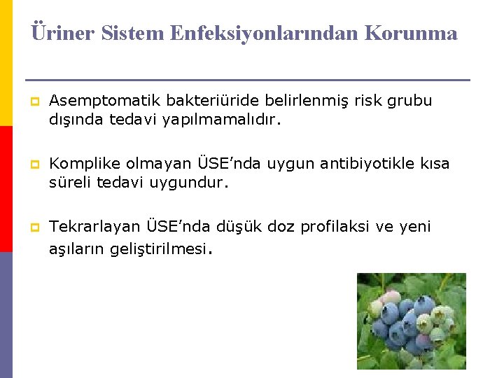 Üriner Sistem Enfeksiyonlarından Korunma p Asemptomatik bakteriüride belirlenmiş risk grubu dışında tedavi yapılmamalıdır. p