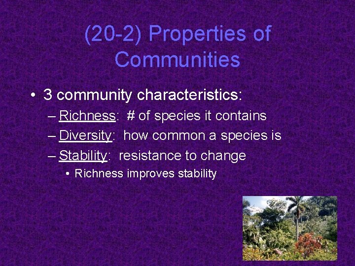 (20 -2) Properties of Communities • 3 community characteristics: – Richness: # of species