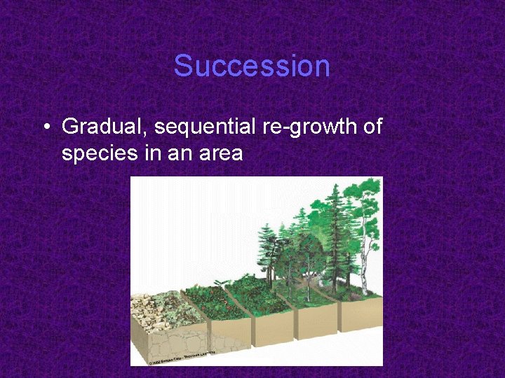 Succession • Gradual, sequential re-growth of species in an area 