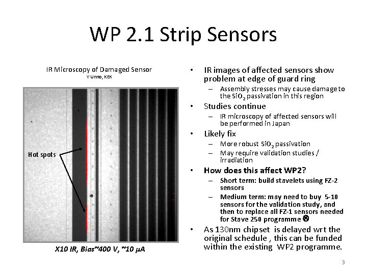 WP 2. 1 Strip Sensors IR Microscopy of Damaged Sensor Y Unno, KEK • WP 2. 1 Strip Sensors IR Microscopy of Damaged Sensor Y Unno, KEK •