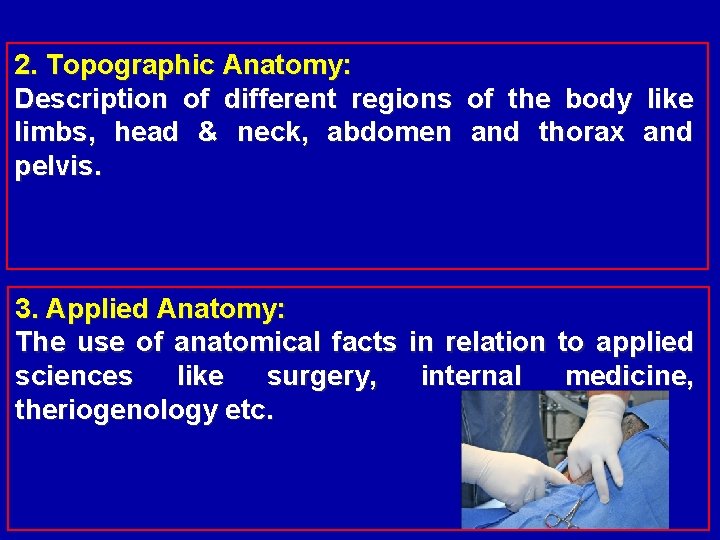 2. Topographic Anatomy: Description of different regions of the body like limbs, head &