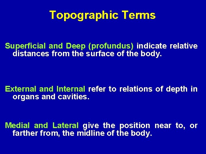 Topographic Terms Superficial and Deep (profundus) indicate relative distances from the surface of the