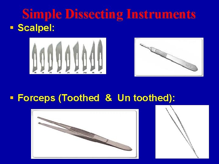 Simple Dissecting Instruments § Scalpel: § Forceps (Toothed & Un toothed): 