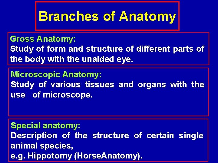 Branches of Anatomy Gross Anatomy: Study of form and structure of different parts of