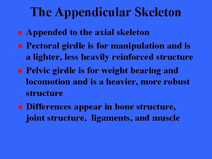 The Appendicular Skeleton n n Appended to the axial skeleton Pectoral girdle is for