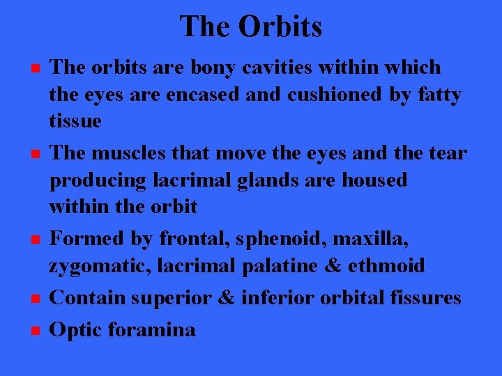 The Orbits n n n The orbits are bony cavities within which the eyes