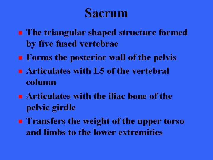 Sacrum n n n The triangular shaped structure formed by five fused vertebrae Forms