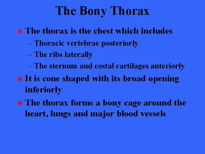 The Bony Thorax n The thorax is the chest which includes – Thoracic vertebrae