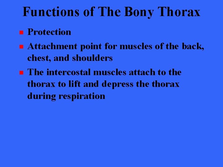 Functions of The Bony Thorax n n n Protection Attachment point for muscles of