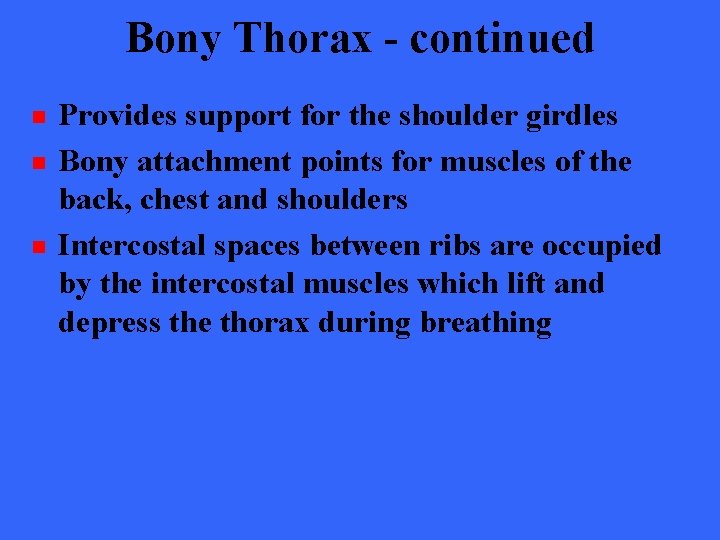 Bony Thorax - continued n n n Provides support for the shoulder girdles Bony