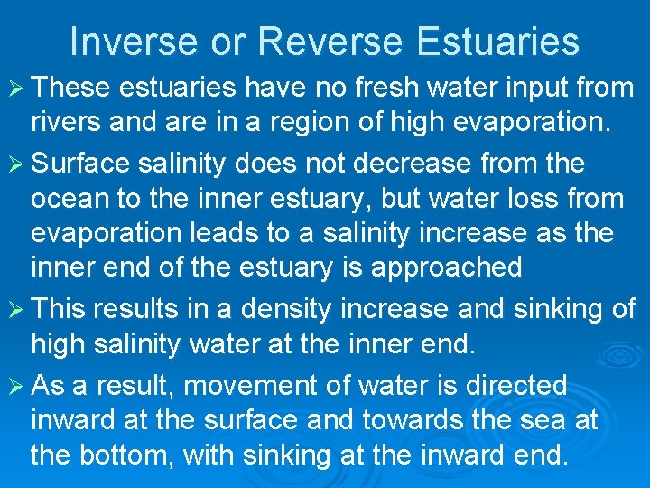 Inverse or Reverse Estuaries Ø These estuaries have no fresh water input from rivers