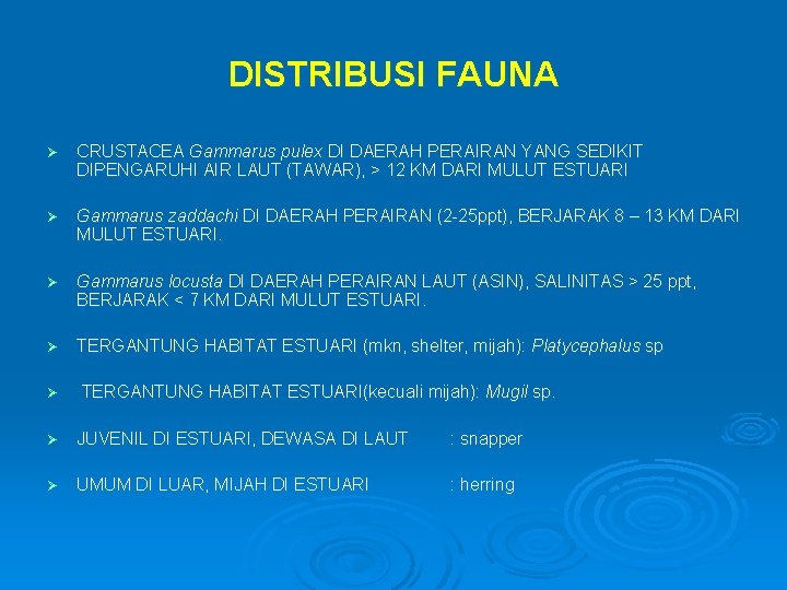 DISTRIBUSI FAUNA Ø CRUSTACEA Gammarus pulex DI DAERAH PERAIRAN YANG SEDIKIT DIPENGARUHI AIR LAUT