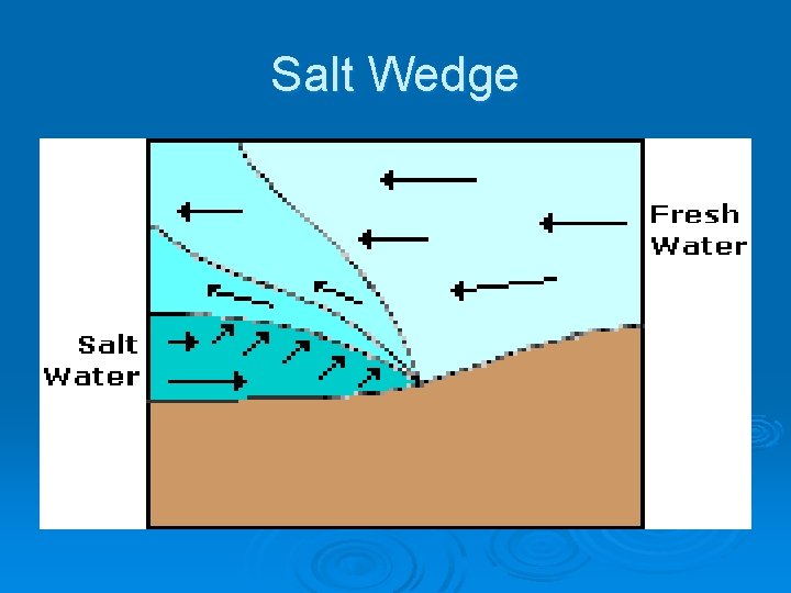 Salt Wedge 
