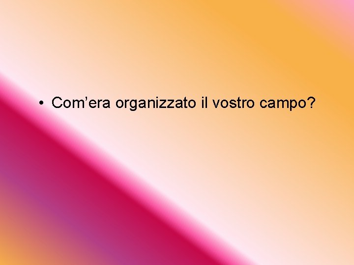  • Com’era organizzato il vostro campo? 