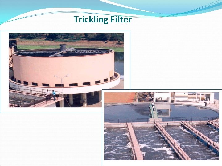 Trickling Filter 