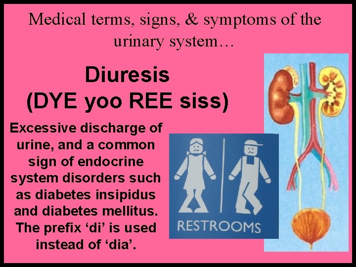 Medical terms, signs, & symptoms of the urinary system… Diuresis (DYE yoo REE siss)