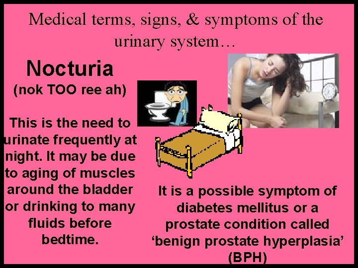 Medical terms, signs, & symptoms of the urinary system… Nocturia (nok TOO ree ah)