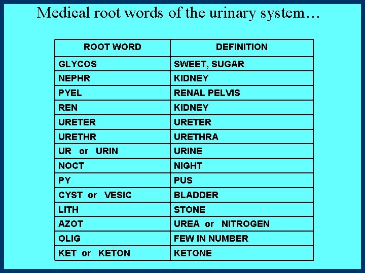 Medical root words of the urinary system… ROOT WORD DEFINITION GLYCOS SWEET, SUGAR NEPHR