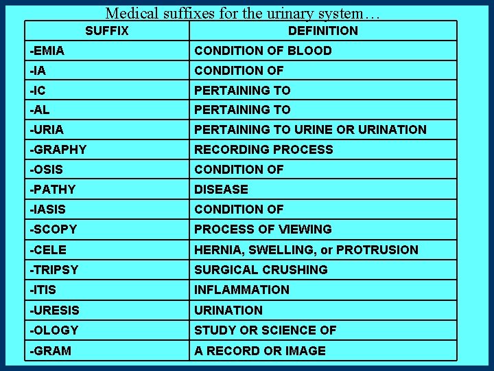 Medical suffixes for the urinary system… SUFFIX DEFINITION -EMIA CONDITION OF BLOOD -IA CONDITION