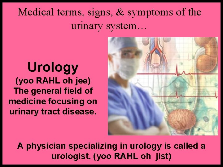 Medical terms, signs, & symptoms of the urinary system… Urology (yoo RAHL oh jee)