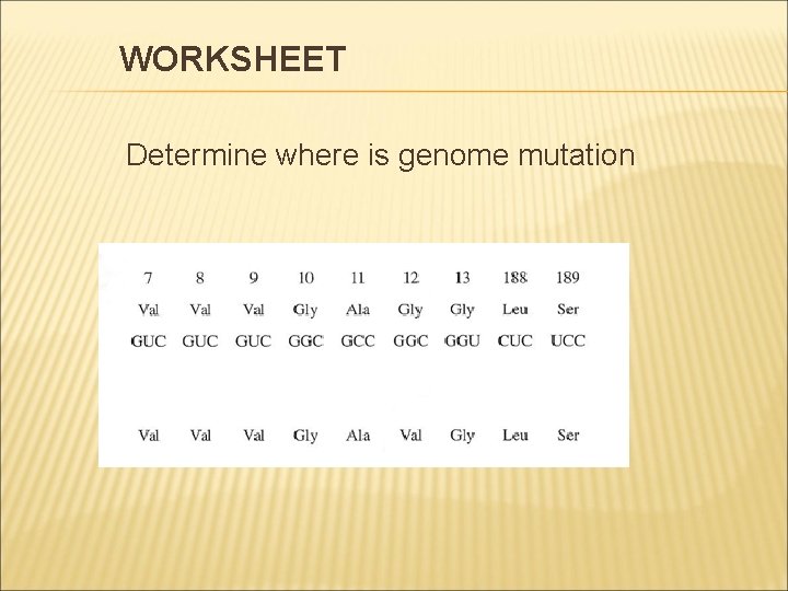 WORKSHEET Determine where is genome mutation 