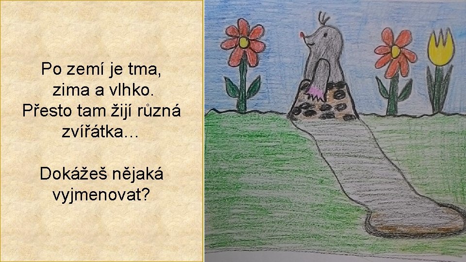 Po zemí je tma, zima a vlhko. Přesto tam žijí různá zvířátka… Dokážeš nějaká