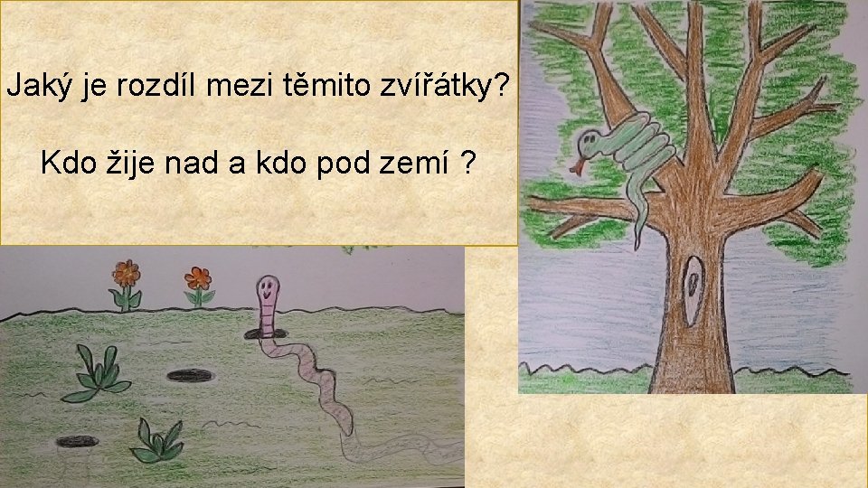 Jaký je rozdíl mezi těmito zvířátky? Kdo žije nad a kdo pod zemí ?