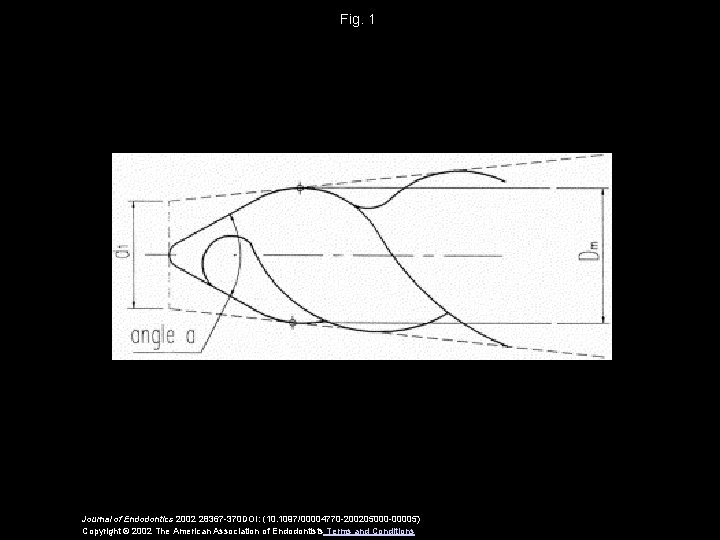 Clinical Relevance of Standardization of Endodontic Files Dimensions
