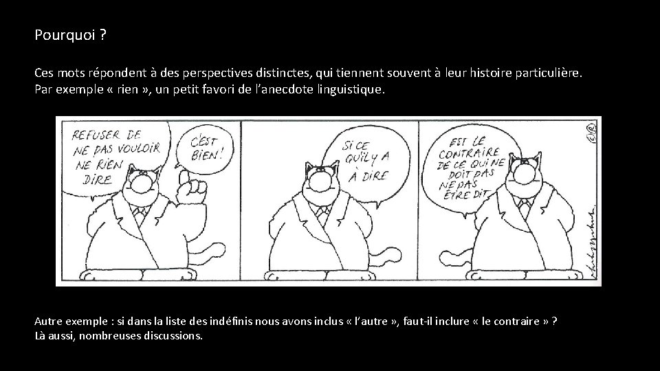 Pourquoi ? Ces mots répondent à des perspectives distinctes, qui tiennent souvent à leur
