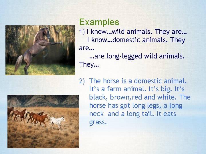 Examples 1) I know…wild animals. They are… I know…domestic animals. They are… …are long-legged