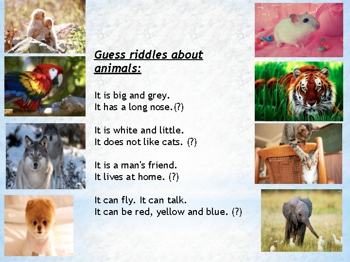 Guess riddles about animals: It It is big and grey. has a long nose.