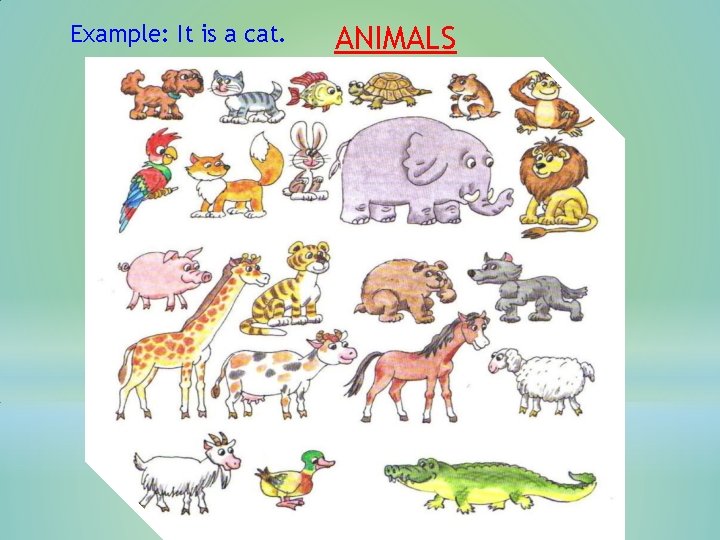 Example: It is a cat. ANIMALS 