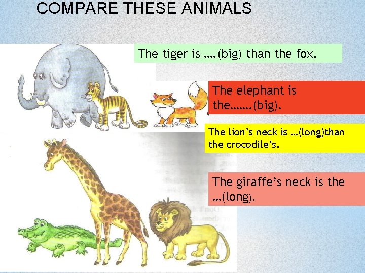 COMPARE THESE ANIMALS The tiger is …. (big) than the fox. The elephant is