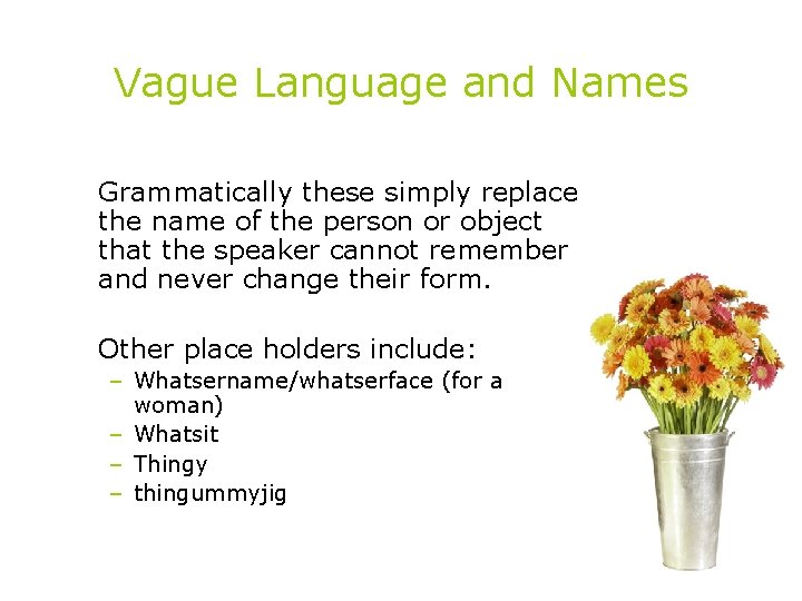 Vague Language and Names Grammatically these simply replace the name of the person or