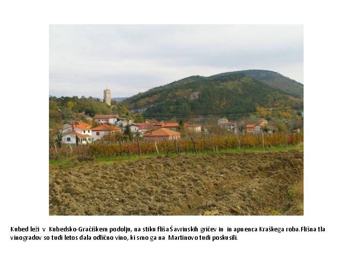 Kubed leži v Kubedsko-Gračiškem podolju, na stiku fliša Šavrinskih gričev in in apnenca Kraškega