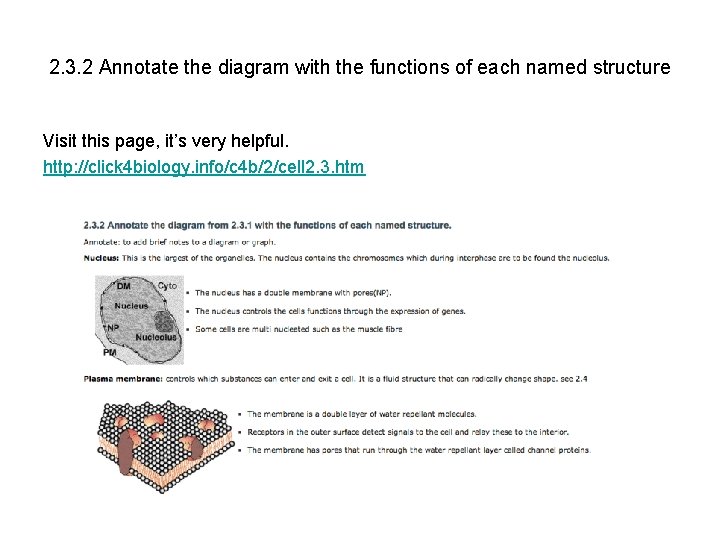 2. 3. 2 Annotate the diagram with the functions of each named structure Visit