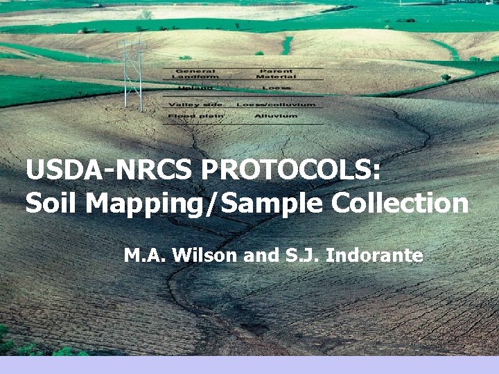 USDA-NRCS PROTOCOLS: Soil Mapping/Sample Collection M. A. Wilson and S. J. Indorante 