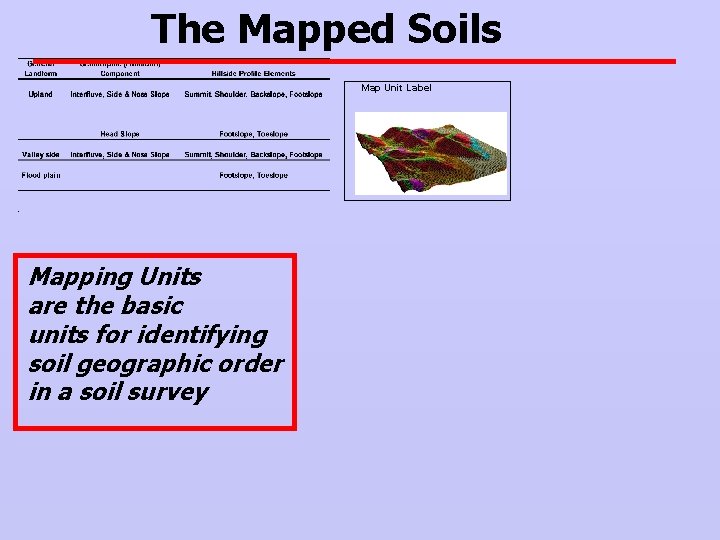 The Mapped Soils Map Unit Label Mapping Units are the basic units for identifying