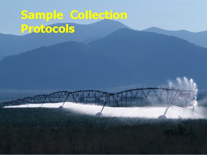 Sample Collection Protocols 