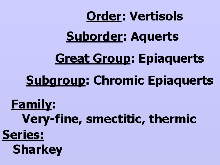 Order: Vertisols Suborder: Aquerts Great Group: Epiaquerts Subgroup: Chromic Epiaquerts Family: Very-fine, smectitic, thermic